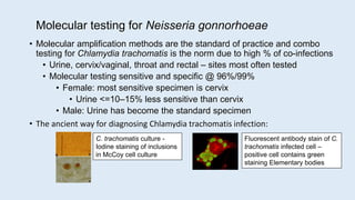 Molecular testing for Neisseria gonnorhoeae
• Molecular amplification methods are the standard of practice and combo
testing for Chlamydia trachomatis is the norm due to high % of co-infections
• Urine, cervix/vaginal, throat and rectal – sites most often tested
• Molecular testing sensitive and specific @ 96%/99%
• Female: most sensitive specimen is cervix
• Urine <=10–15% less sensitive than cervix
• Male: Urine has become the standard specimen
• The ancient way for diagnosing Chlamydia trachomatis infection:
C. trachomatis culture -
Iodine staining of inclusions
in McCoy cell culture
Fluorescent antibody stain of C.
trachomatis infected cell –
positive cell contains green
staining Elementary bodies
 