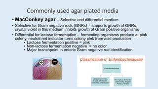 Commonly used agar plated media
• MacConkey agar – Selective and differential medium
• Selective for Gram negative rods (GNRs) - supports growth of GNRs,
crystal violet in this medium inhibits growth of Gram positive organisms
• Differential for lactose fermentation - fermenting organisms produce a pink
colony, neutral red indicator turns colony pink from acid production
• Lactose fermentation positive = pink
• Non-lactose fermentation negative = no color
• Major branchpoint in enteric Gram negative rod identification
 
