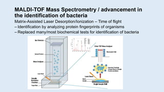 MALDI-TOF Mass Spectrometry / advancement in
the identification of bacteria
Matrix-Assisted Laser Desorption/Ionization – ...