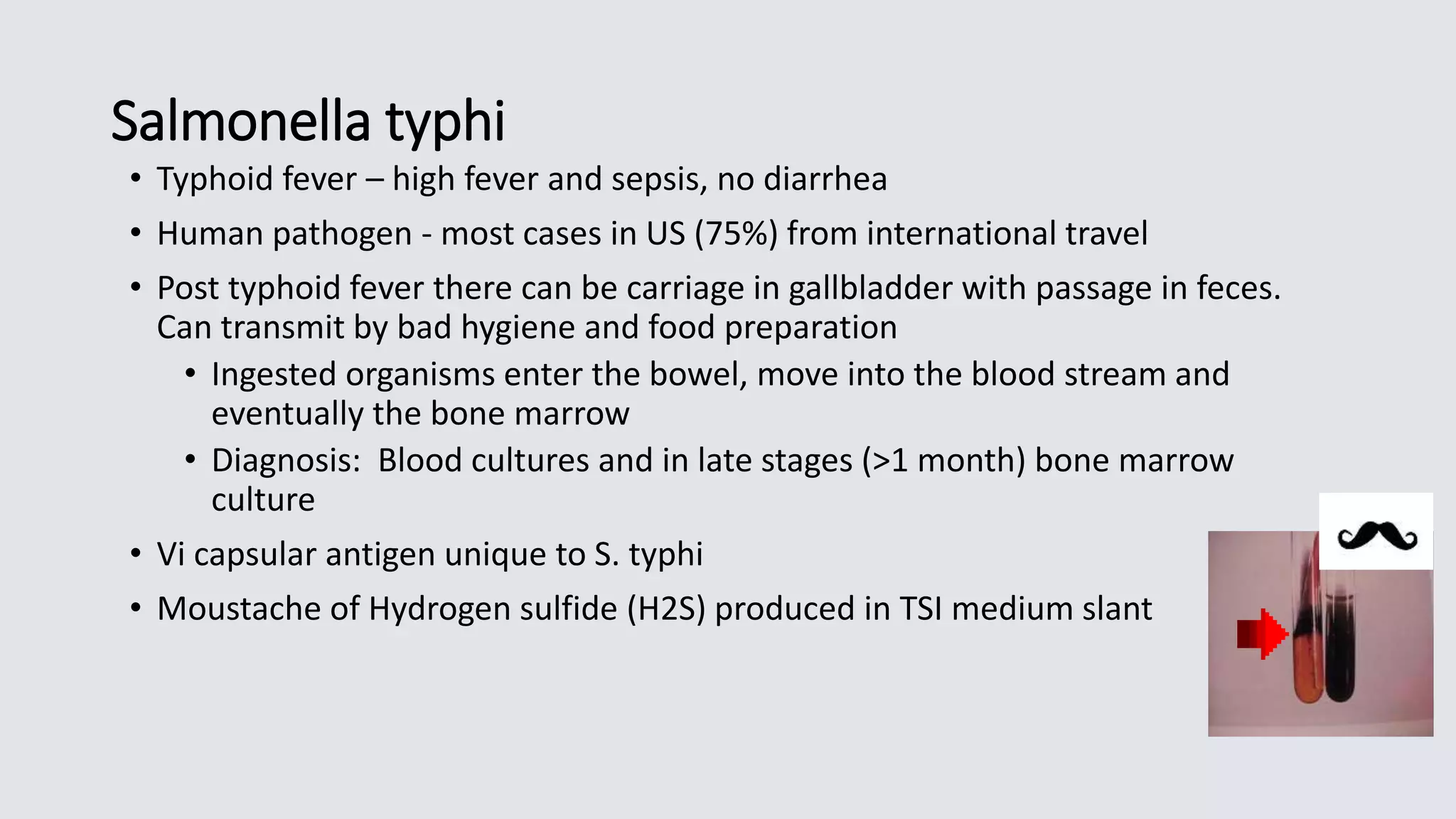 Salmonella typhi
• Typhoid fever – high fever and sepsis, no diarrhea
• Human pathogen - most cases in US (75%) from international travel
• Post typhoid fever there can be carriage in gallbladder with passage in feces.
Can transmit by bad hygiene and food preparation
• Ingested organisms enter the bowel, move into the blood stream and
eventually the bone marrow
• Diagnosis: Blood cultures and in late stages (>1 month) bone marrow
culture
• Vi capsular antigen unique to S. typhi
• Moustache of Hydrogen sulfide (H2S) produced in TSI medium slant
 