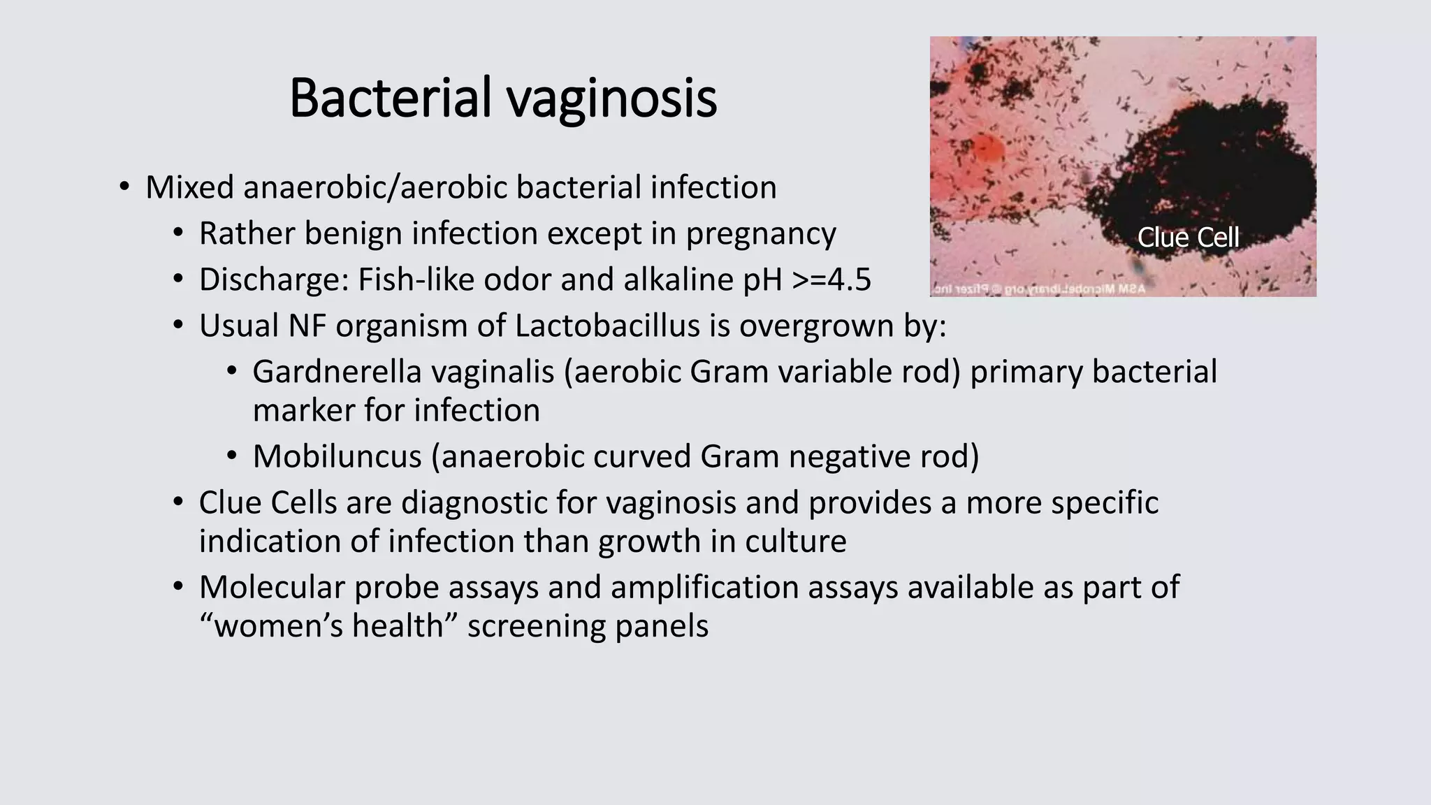 Bacterial vaginosis
• Mixed anaerobic/aerobic bacterial infection
• Rather benign infection except in pregnancy
• Discharge: Fish-like odor and alkaline pH >=4.5
• Usual NF organism of Lactobacillus is overgrown by:
• Gardnerella vaginalis (aerobic Gram variable rod) primary bacterial
marker for infection
• Mobiluncus (anaerobic curved Gram negative rod)
• Clue Cells are diagnostic for vaginosis and provides a more specific
indication of infection than growth in culture
• Molecular probe assays and amplification assays available as part of
“women’s health” screening panels
Clue Cell
 