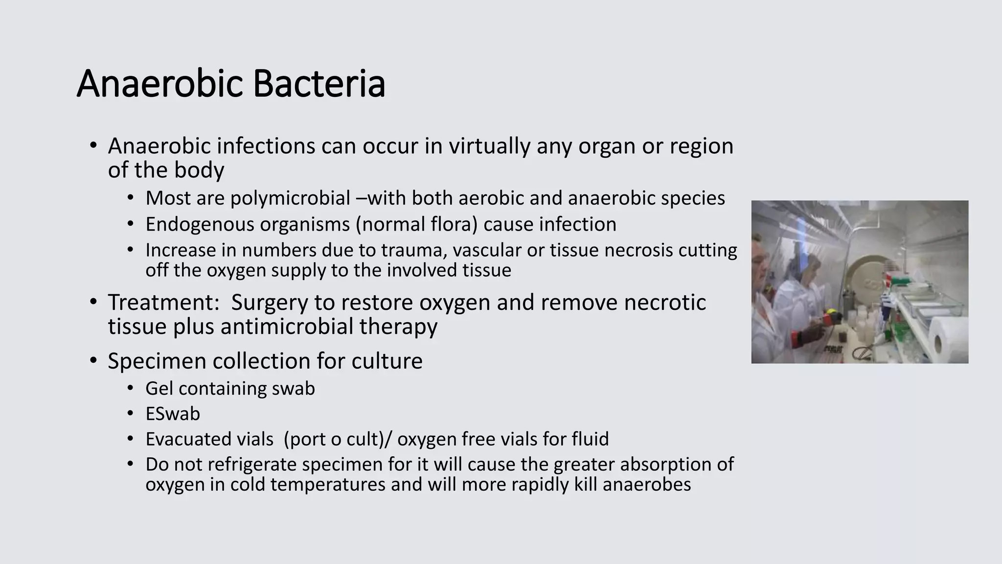 Anaerobic Bacteria
• Anaerobic infections can occur in virtually any organ or region
of the body
• Most are polymicrobial –with both aerobic and anaerobic species
• Endogenous organisms (normal flora) cause infection
• Increase in numbers due to trauma, vascular or tissue necrosis cutting
off the oxygen supply to the involved tissue
• Treatment: Surgery to restore oxygen and remove necrotic
tissue plus antimicrobial therapy
• Specimen collection for culture
• Gel containing swab
• ESwab
• Evacuated vials (port o cult)/ oxygen free vials for fluid
• Do not refrigerate specimen for it will cause the greater absorption of
oxygen in cold temperatures and will more rapidly kill anaerobes
 