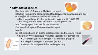 • Salmonella species
• Diarrhea with +/- fever and PMNs in the stool
• Infection from eating contaminated food (raw eggs, poultry, ground beef
or dairy) or direct contact with a sick animal
– Must ingest large #’s of organisms to make you ill (1,000,000
bacteria), normal levels of stomach acid is protective
• MacConkey agar - does not ferment lactose
• Produces hydrogen sulfide on selective agars
• Motile
• Identification based on biochemical reactions and serologic typing
• Kaufman White serologic typing for speciation of Salmonella
• O Somatic (cell wall) antigen – Salmonella group “B”
• H flagellar antigens – 2 phases [h1 & h2]
• Vi capsular antigen – Salmonella typhi only
 