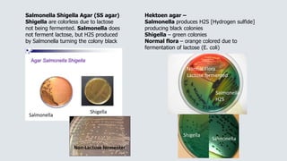 Salmonella Shigella Agar (SS agar)
Shigella are colorless due to lactose
not being fermented. Salmonella does
not ferment lactose, but H2S produced
by Salmonella turning the colony black
Hektoen agar –
Salmonella produces H2S [Hydrogen sulfide]
producing black colonies
Shigella – green colonies
Normal flora – orange colored due to
fermentation of lactose (E. coli)
Non-Lactose fermenter
Shigella
Salmonella
Normal Flora
Lactose fermented
H2S
Salmonella
Shigella
Salmonella
 