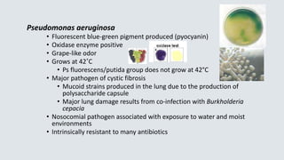Pseudomonas aeruginosa
• Fluorescent blue-green pigment produced (pyocyanin)
• Oxidase enzyme positive
• Grape-like odor
•...