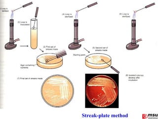 Streak-plate method 