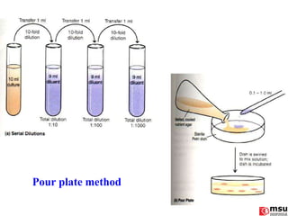 Pour plate method 