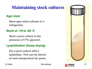 Maintaining stock cultures Agar slant Store agar slant cultures in a refrigerator. Stock at –70 to -80  o C Store a pure culture in the presence of 17% glycerol. Lyophilization (freeze drying) Dry a pure culture with a lyophilizer. This can be stored at room temperature for years. 