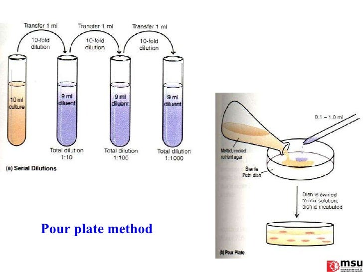 Bacteriology physiology 1mbbsy25oct20112