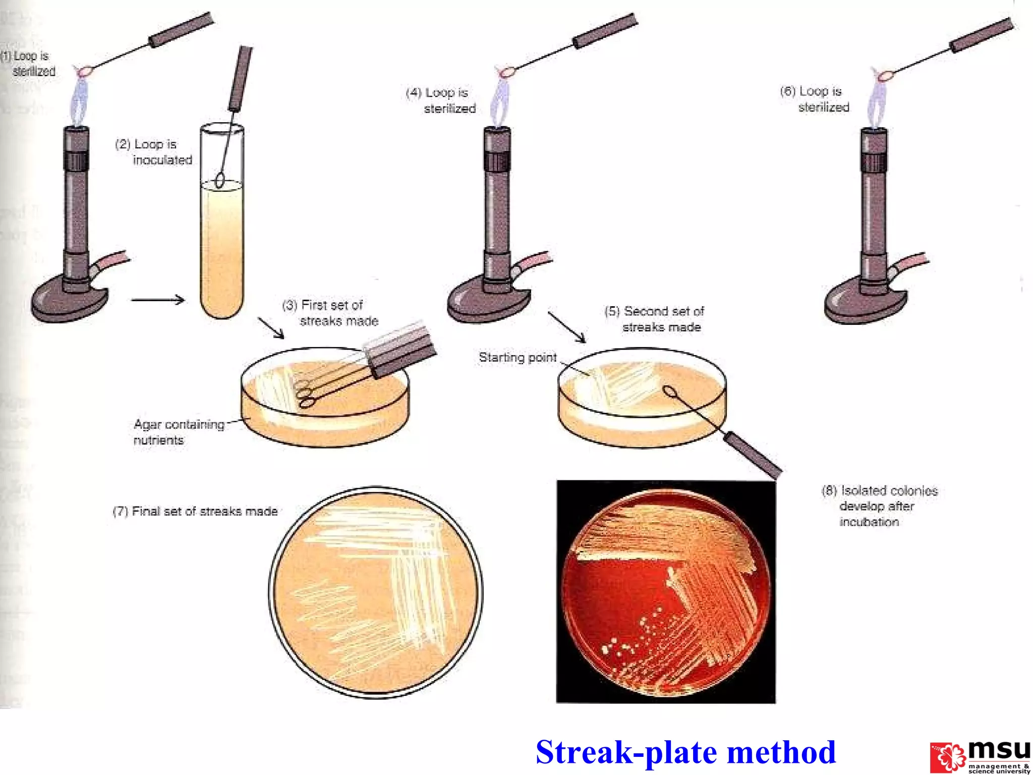Streak-plate method 