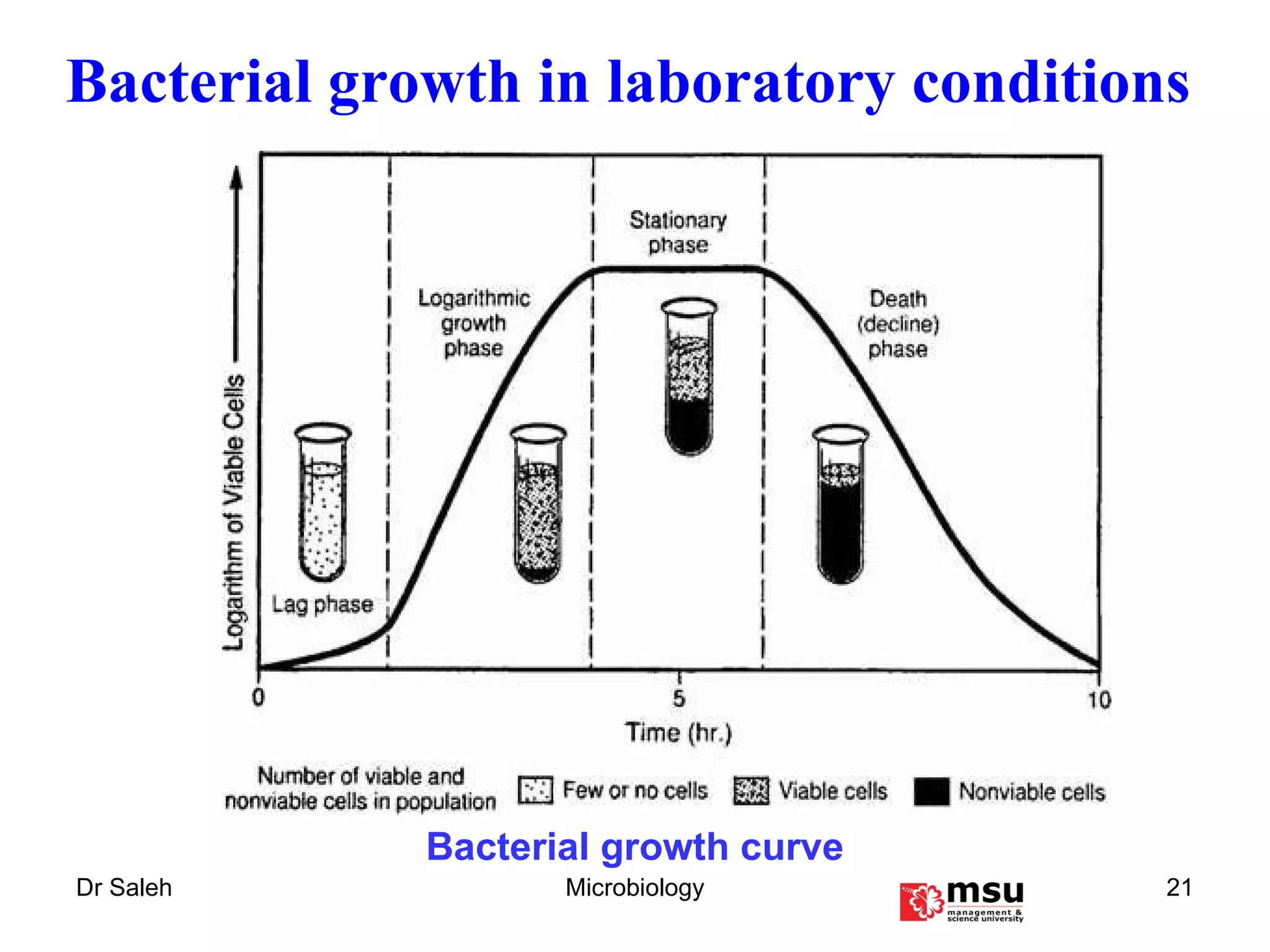 Bacterial growth curve Bacterial growth in laboratory conditions 