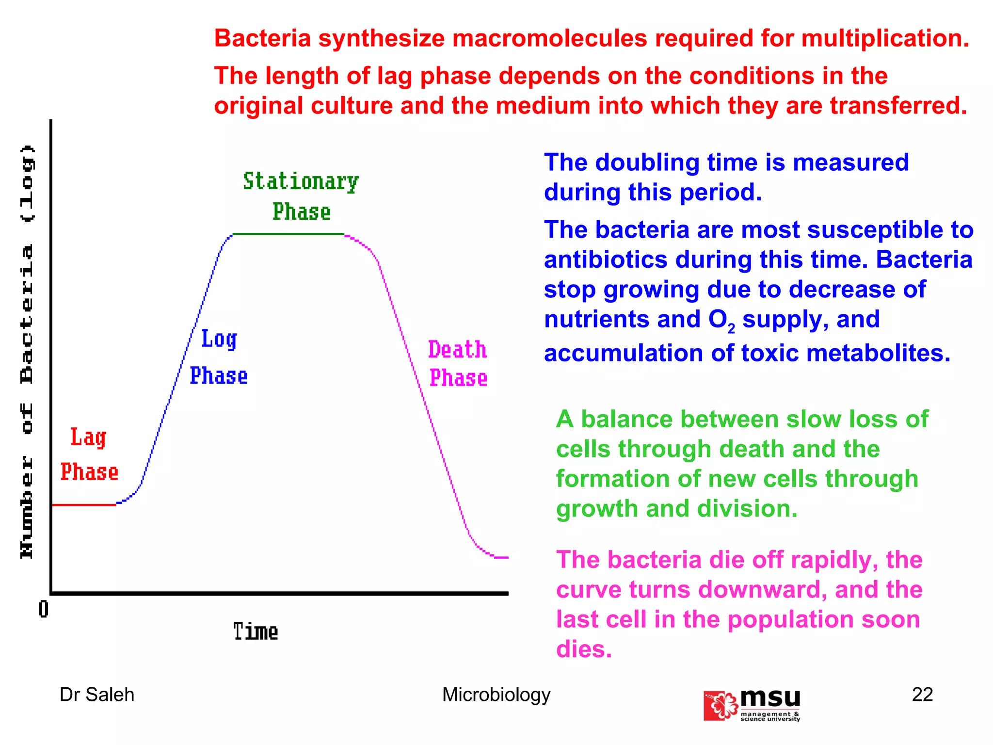 A balance between slow loss of cells through death and the formation of new cells through growth and division. The bacteria die off rapidly, the curve turns downward, and the last cell in the population soon dies.  Bacteria synthesize macromolecules required for multiplication. The length of lag phase depends on the conditions in the original culture and the medium into which they are transferred. The doubling time is measured during this period. The bacteria are most susceptible to antibiotics during this time. Bacteria stop growing due to decrease of nutrients and O 2  supply, and accumulation of toxic metabolites.  