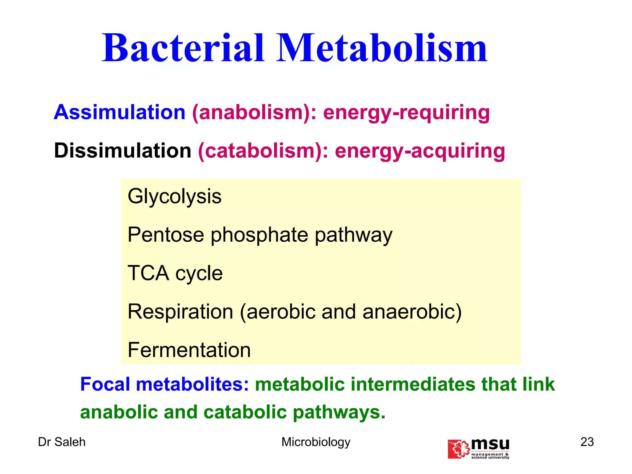 Assimulation  (anabolism): energy-requiring Dissimulation  (catabolism): energy-acquiring Bacterial Metabolism Focal metabolites:  metabolic intermediates that link anabolic and catabolic pathways. Glycolysis Pentose phosphate pathway TCA cycle Respiration (aerobic and anaerobic) Fermentation 