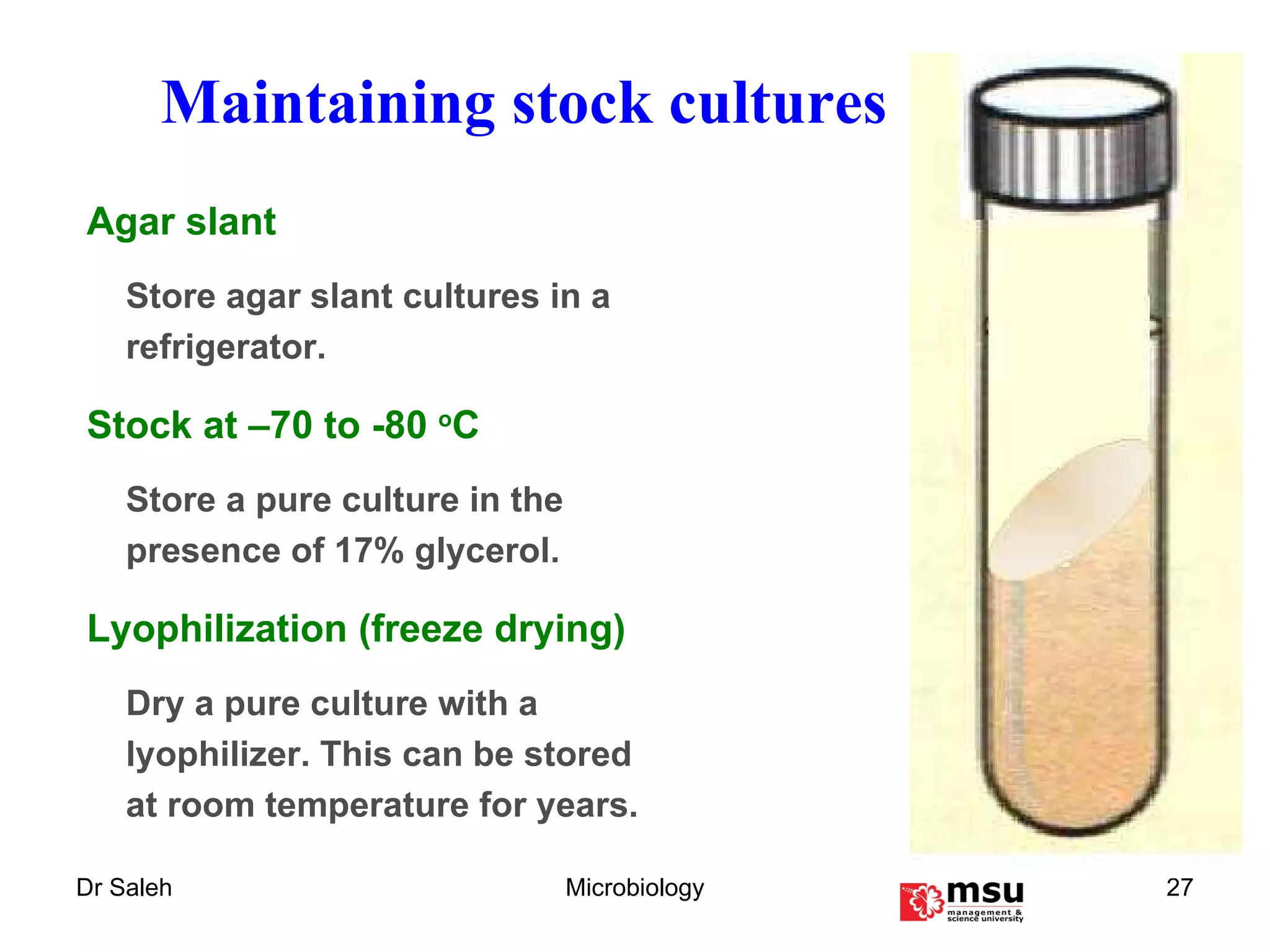Maintaining stock cultures Agar slant Store agar slant cultures in a refrigerator. Stock at –70 to -80  o C Store a pure culture in the presence of 17% glycerol. Lyophilization (freeze drying) Dry a pure culture with a lyophilizer. This can be stored at room temperature for years. 