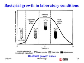 Bacterial growth curve Bacterial growth in laboratory conditions 