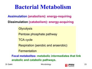 Assimulation  (anabolism): energy-requiring Dissimulation  (catabolism): energy-acquiring Bacterial Metabolism Focal metabolites:  metabolic intermediates that link anabolic and catabolic pathways. Glycolysis Pentose phosphate pathway TCA cycle Respiration (aerobic and anaerobic) Fermentation 