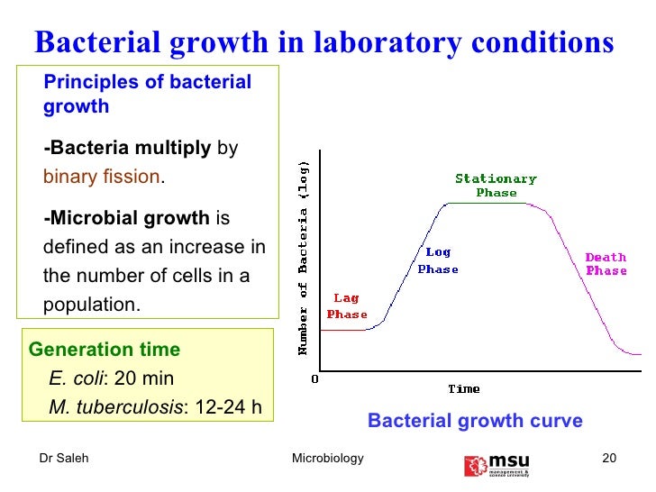 Bacteriology physiology