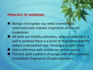 PRINCIPLE OF WORKING:
 Biolog's microplate use redox chemistry to
colorimetrically indicate respiration of live cell
suspension.
 All wells are initially colourless, when a chemical in a
well is oxidised there is a burst of respiration and the
reduce a tetrazolium dye, forming a purple colour
 And a reference well contain no carbon source
 The test yield a pattern of purple well which consists
a metabolic fingerprint of each organisms
 
