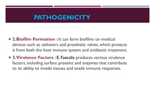 PATHOGENICITY
 2.Biofilm Formation : It can form biofilms on medical
devices such as catheters and prosthetic valves, which protects
it from both the host immune system and antibiotic treatment.
 3.Virulence Factors : E. Faecalis produces various virulence
factors, including surface proteins and enzymes that contribute
to its ability to invade tissues and evade immune responses.
 