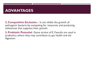 ADVANTAGES
2. Competitive Exclusion : It can inhibit the growth of
pathogenic bacteria by competing for resources and producing
substances that suppress their growth.
3. Probiotic Potential : Some strains of E. Faecalis are used in
probiotics, where they may contribute to gut health and aid
digestion.
 