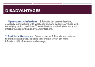DISADVANTAGES
1. Opportunistic Infections : E. Faecalis can cause infections,
especially in individuals with weakened immune systems, or those with
underlying health conditions.These infections can include urinary tract
infections, endocarditis, and wound infections.
2.Antibiotic Resistance : Some strains of E. Faecalis are resistant
to multiple antibiotics, including vancomycin, which can make
infections difficult to treat and manage.
 