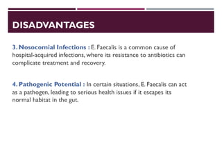 DISADVANTAGES
3. Nosocomial Infections : E. Faecalis is a common cause of
hospital-acquired infections, where its resistance to antibiotics can
complicate treatment and recovery.
4. Pathogenic Potential : In certain situations, E. Faecalis can act
as a pathogen, leading to serious health issues if it escapes its
normal habitat in the gut.
 