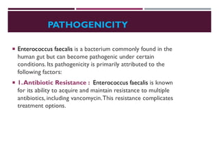 PATHOGENICITY
 Enterococcus faecalis is a bacterium commonly found in the
human gut but can become pathogenic under certain
conditions. Its pathogenicity is primarily attributed to the
following factors:
 1.Antibiotic Resistance : Enterococcus faecalis is known
for its ability to acquire and maintain resistance to multiple
antibiotics, including vancomycin.This resistance complicates
treatment options.
 