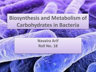 Biosynthesis and Metabolism of
Carbohydrates in Bacteria
Navaira Arif
Roll No. 18
 