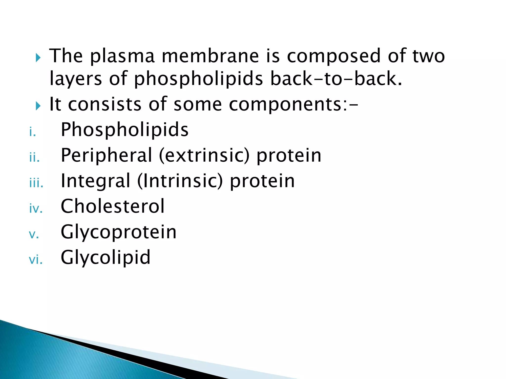 Ultra Structure of Plasma Membrane | PPTX