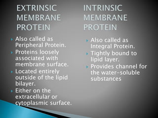 Ultra Structure of Plasma Membrane | PPTX