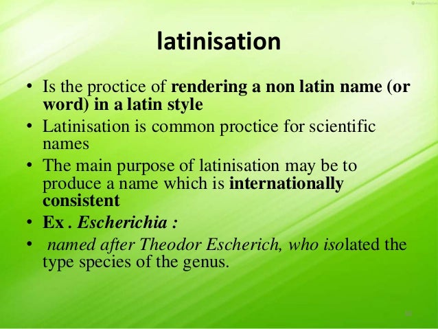 Taxonomy of Bacteria, Bergey's Manual of Systematic Bacteriology and