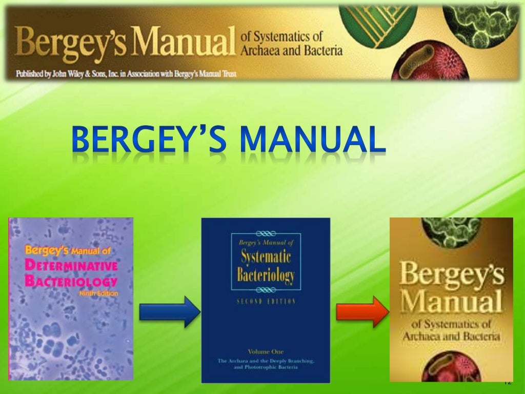 Taxonomy of Bacteria, Bergey's Manual of Systematic Bacteriology and