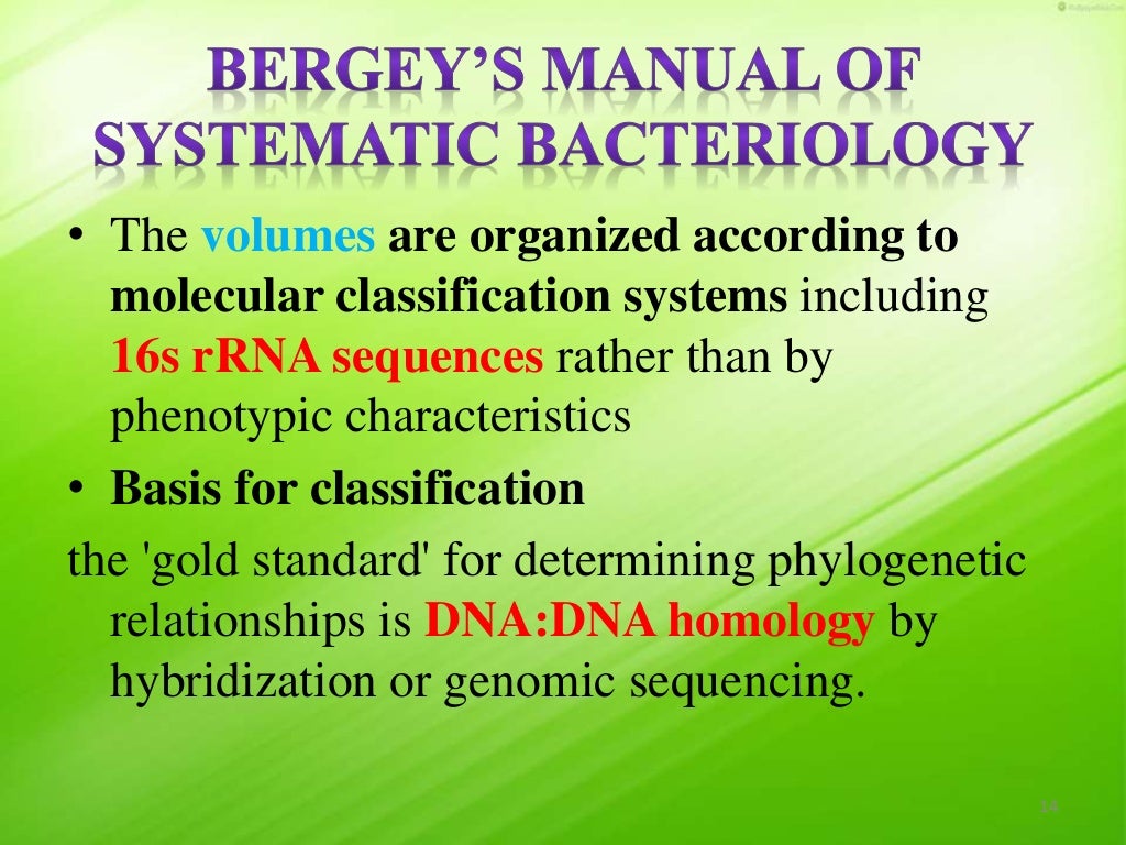 Taxonomy of Bacteria, Bergey's Manual of Systematic Bacteriology and