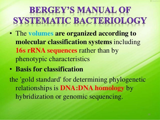 Taxonomy of Bacteria, Bergey's Manual of Systematic Bacteriology and