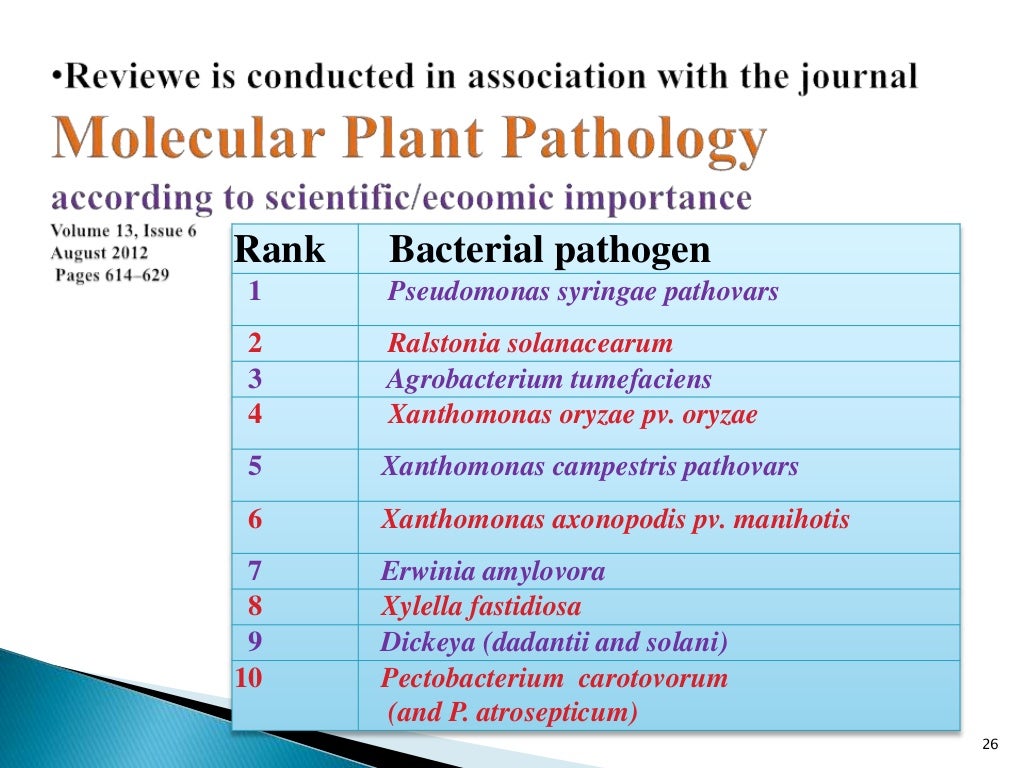 Taxonomy of Bacteria, Bergey's Manual of Systematic Bacteriology and
