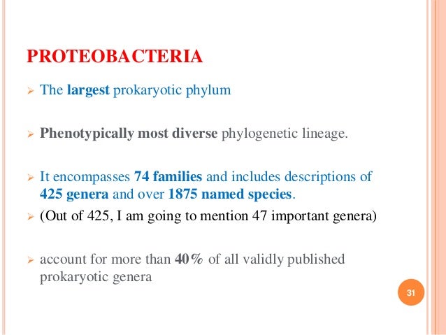 Taxonomy of Bacteria, Bergey's Manual of Systematic Bacteriology and