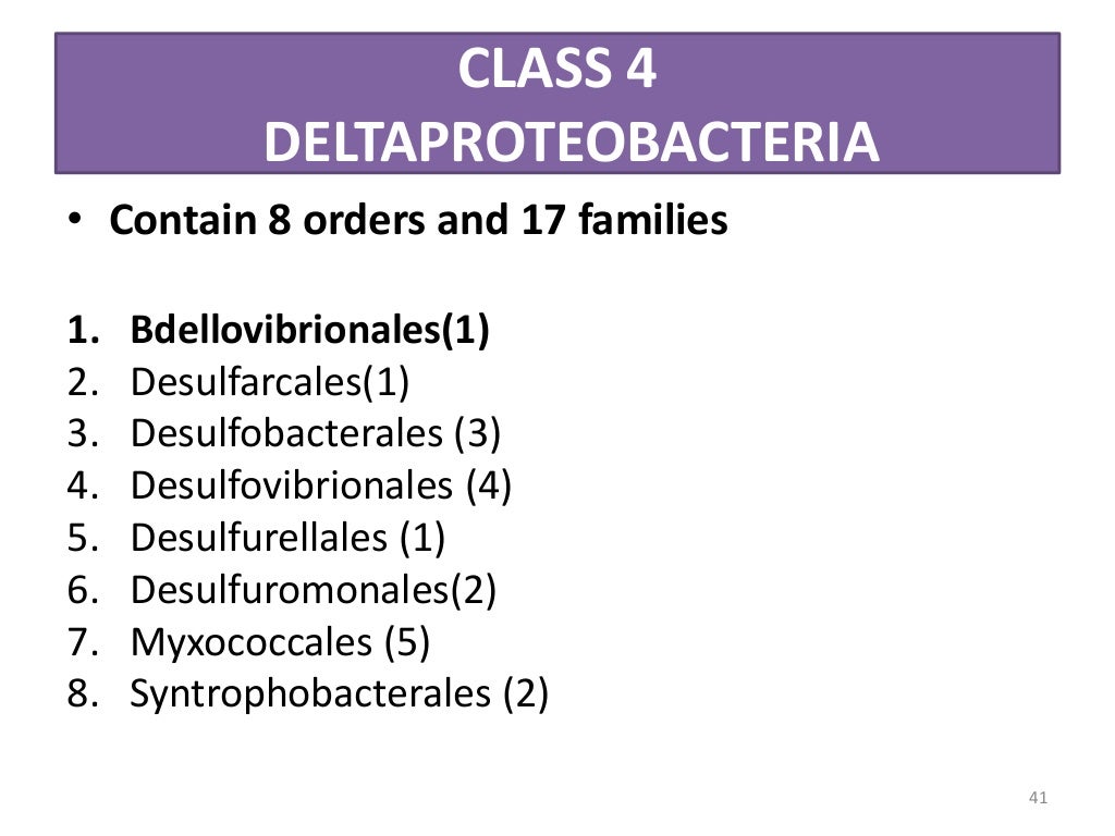 Taxonomy of Bacteria, Bergey's Manual of Systematic Bacteriology and