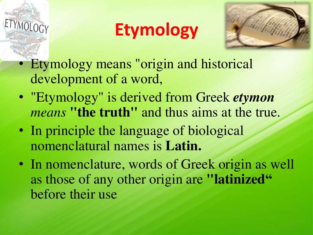 Taxonomy of Bacteria, Bergey's Manual of Systematic Bacteriology and