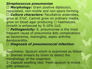 Streptococcus pneumoniae
Morphology: Gram positive diplococci,
capsulated, non-motile and non-spore forming.
Culture characters: Facultative anaerobes,
grow at 37oC. Cannot grow on ordinary media,
grow on blood agar producing haemolysis.
Growth is enhanced by 5-10% Co2.
Pathogenicity: S. pneumoniae is the most
frequent cause of pneumonia &its complications
as bacteremia, meningitis, septic arthritis
&endocarditis.
Diagnosis of pneumococcal infection:
Specimens: Sputum which is examined as follow:
1- Stained smears by Gram to detect the
morphology of the organism.
2- Capsule swelling test: fresh sputum is mixed
with antiserum.
 