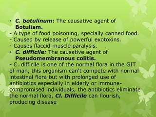 • C. botulinum: The causative agent of
Botulism.
- A type of food poisoning, specially canned food.
- Caused by release of powerful exotoxins.
- Causes flaccid muscle paralysis.
• C. difficile: The causative agent of
Pseudomembranous colitis.
- C. difficile is one of the normal flora in the GIT
of man, this organism can't compete with normal
intestinal flora but with prolonged use of
antibiotics especially in elderly or immune-
compromised individuals, the antibiotics eliminate
the normal flora, Cl. Difficile can flourish,
producing disease
 