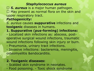 Staphylococcus aureus
S. aureus is a major human pathogen.
May present as normal flora on the skin and
upper respiratory tract.
Pathogenicity:
S. aureus causes suppurative infections and
toxigenic diseases in humans.
1. Suppurative (pus-forming) infections:
- Localized skin infections as: abscess, post-
operative surgical wound infections, traumatic
wound infections following skin injury or burn.
- Pneumonia, urinary tract infections.
- Invasive infections: bacteremia, meningitis,
osteomyelitis &endocarditis.
2. Toxigenic diseases:
- Scalded skin syndrome in neonates.
- Food poisoning. - Toxic shock syndrome
 