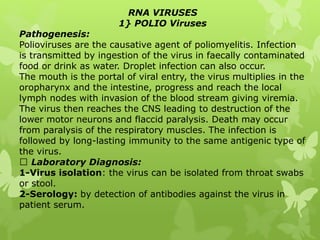 RNA VIRUSES
1} POLIO Viruses
Pathogenesis:
Polioviruses are the causative agent of poliomyelitis. Infection
is transmitted by ingestion of the virus in faecally contaminated
food or drink as water. Droplet infection can also occur.
The mouth is the portal of viral entry, the virus multiplies in the
oropharynx and the intestine, progress and reach the local
lymph nodes with invasion of the blood stream giving viremia.
The virus then reaches the CNS leading to destruction of the
lower motor neurons and flaccid paralysis. Death may occur
from paralysis of the respiratory muscles. The infection is
followed by long-lasting immunity to the same antigenic type of
the virus.
Laboratory Diagnosis:
1-Virus isolation: the virus can be isolated from throat swabs
or stool.
2-Serology: by detection of antibodies against the virus in
patient serum.
 