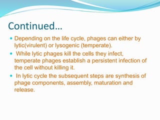 Continued…
 Depending on the life cycle, phages can either by
lytic(virulent) or lysogenic (temperate).
 While lytic phages kill the cells they infect,
temperate phages establish a persistent infection of
the cell without killing it.
 In lytic cycle the subsequent steps are synthesis of
phage components, assembly, maturation and
release.
 