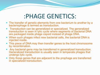 :PHAGE GENETICS:
 The transfer of genetic elements from one bacterium to another by a
bacteriophage is termed as transduction.
 Transduction can be generalized or specialized. The generalized
transduction is seen in lytic cycle where segments of bacterial DNA
are packaged inside phage capsid instead of phage DNA.
 When such phages infect new bacterial cells, the bacterial DNA is
injected inside.
 This piece of DNA may then transfer genes to the host chromosome
by recombination.
 Any bacterial gene may be transferred in generalized transduction.
Generalized transduction is usually seen in temperate phages that
undergo lytic cycle.
 Only those genes that are adjacent to the prophage are transferred
in specialized transduction.
 