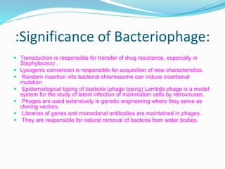 :Significance of Bacteriophage:
 Transduction is responsible for transfer of drug resistance, especially in
Staphylococci .
 Lysogenic conversion is responsible for acquisition of new characteristics.
 Random insertion into bacterial chromosome can induce insertional
mutation
 Epidemiological typing of bacteria (phage typing) Lambda phage is a model
system for the study of latent infection of mammalian cells by retroviruses.
 Phages are used extensively in genetic engineering where they serve as
cloning vectors.
 Libraries of genes and monoclonal antibodies are maintained in phages.
 They are responsible for natural removal of bacteria from water bodies.
 