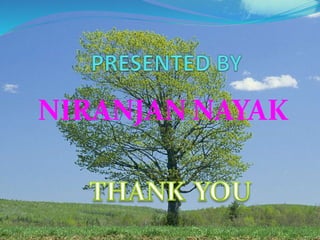 NIRANJAN NAYAK
 