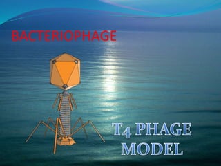 BACTERIOPHAGE
 