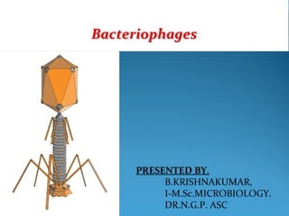 PRESENTED BY,
B.KRISHNAKUMAR,
I-M.Sc.MICROBIOLOGY.
DR.N.G.P. ASC
 