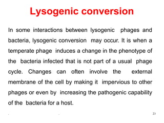 . . 23
Lysogenic conversion
In some interactions between lysogenic phages and
bacteria, lysogenic conversion may occur. It is when a
temperate phage induces a change in the phenotype of
the bacteria infected that is not part of a usual phage
cycle. Changes can often involve the external
membrane of the cell by making it impervious to other
phages or even by increasing the pathogenic capability
of the bacteria for a host.
 