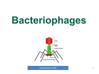 Bacteriophages
1Presented by EKTA
 